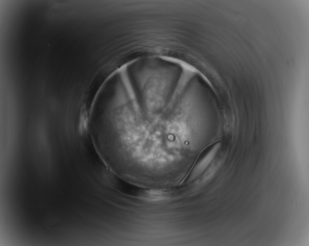 X0000087550095200705181114