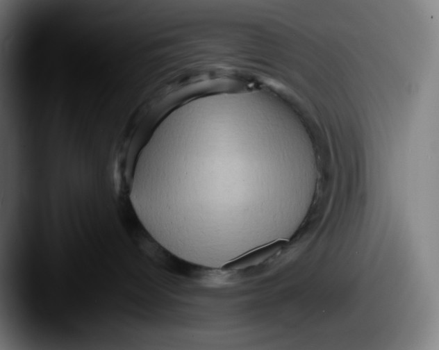 X0000087550096200705181114