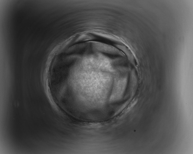 X0000087550097200705181114