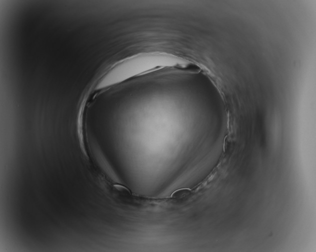 X0000087550099200705181114