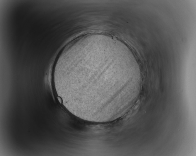 X0000087550100200705181114