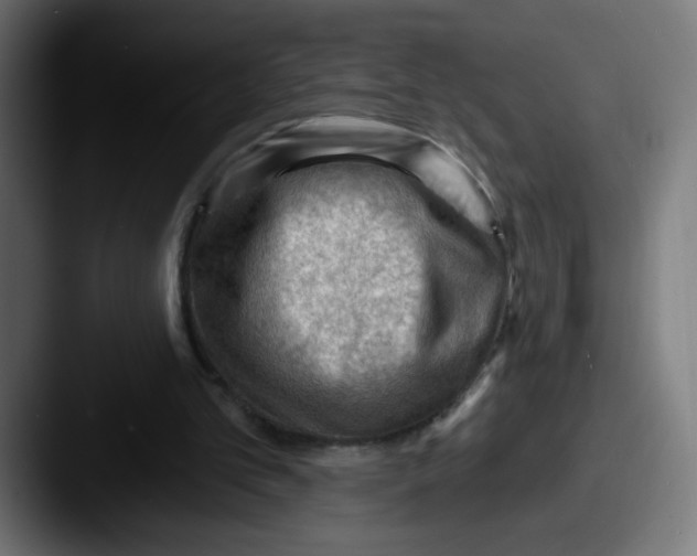 X0000087550101200705181114