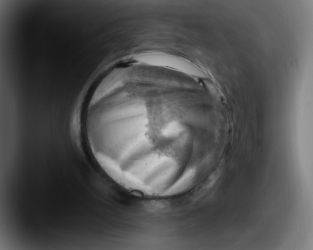 X0000087550102200705181113