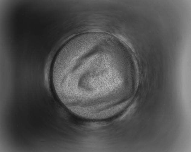 X0000087550103200705181113