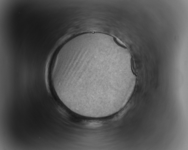 X0000087550104200705181113