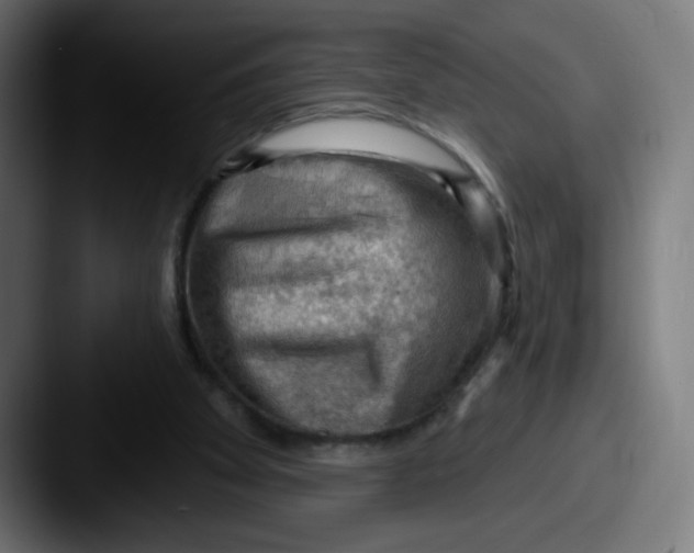 X0000087550105200705181113