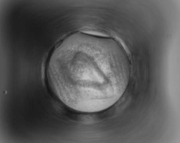 X0000087550106200705181113