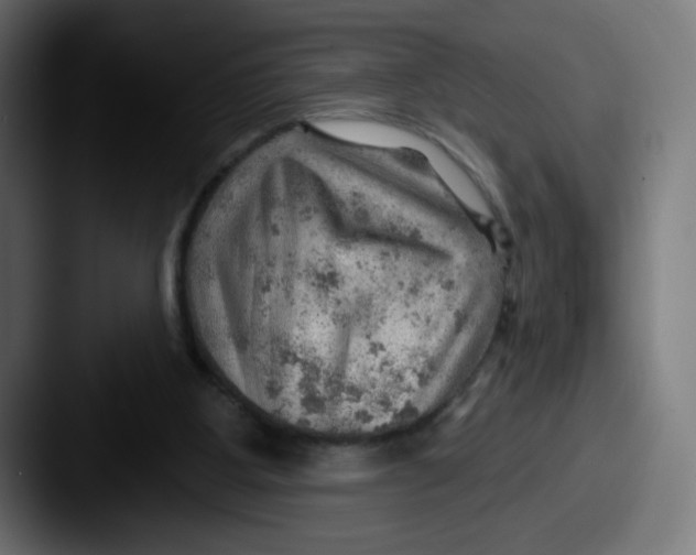 X0000087550107200705181113