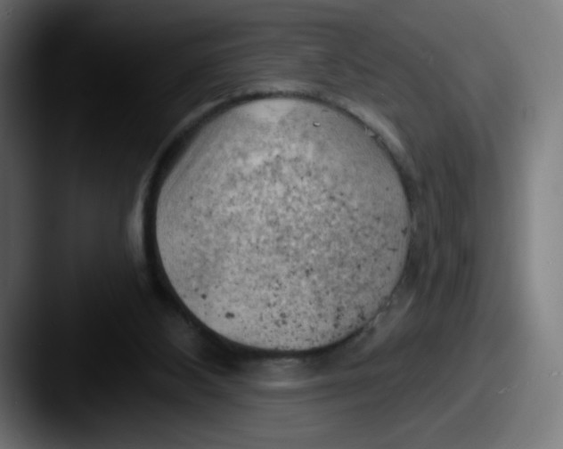 X0000087550108200705181113