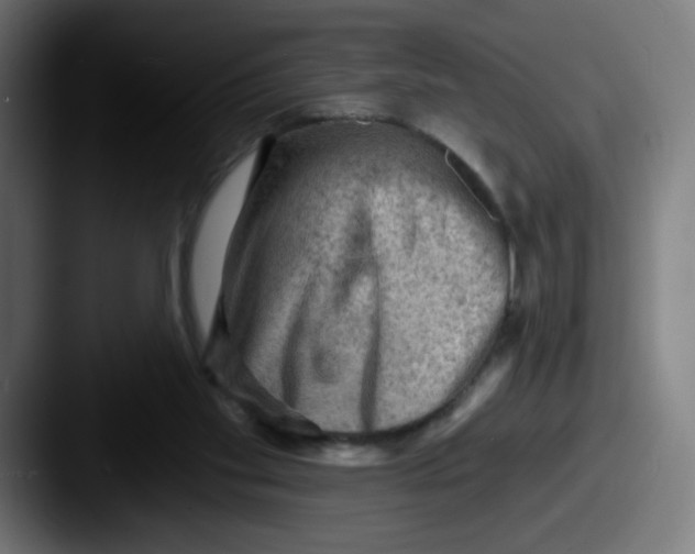 X0000087550109200705181113