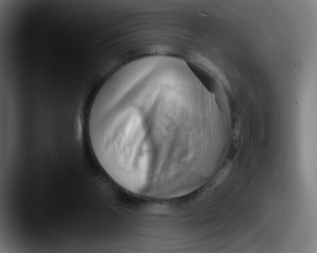 X0000087550110200705181113