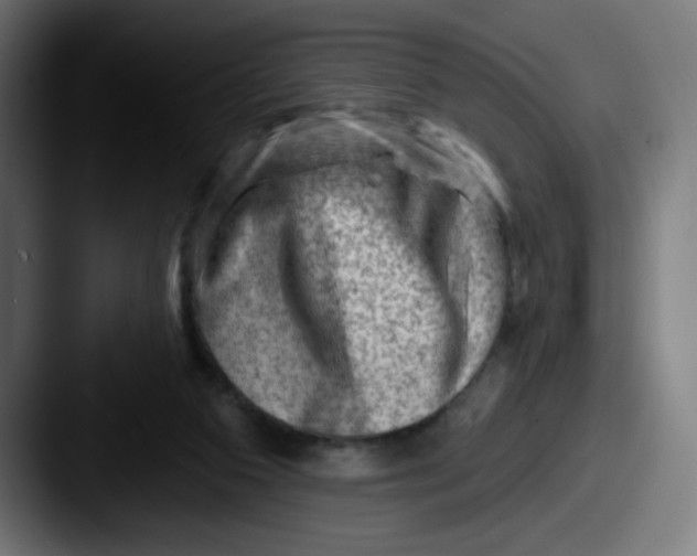 X0000087550113200705181113