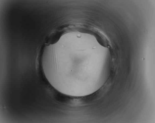 X0000087550114200705181113