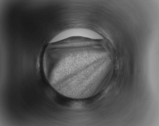 X0000087550115200705181113