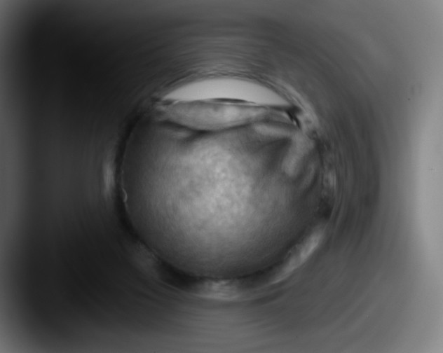 X0000087550117200705181113