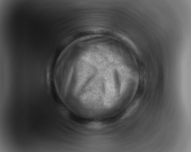 X0000087550119200705181113