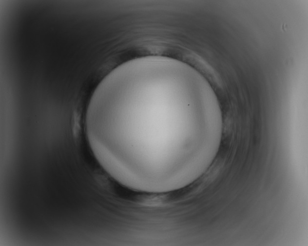 X0000087550122200705181113