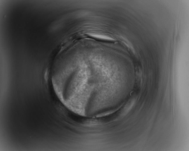 X0000087550123200705181113