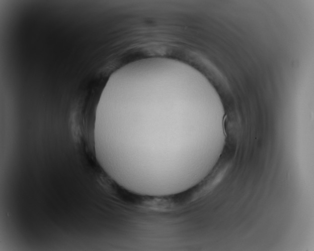 X0000087550125200705181113