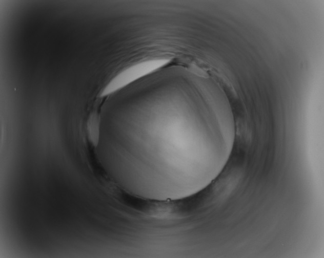 X0000087550127200705181113