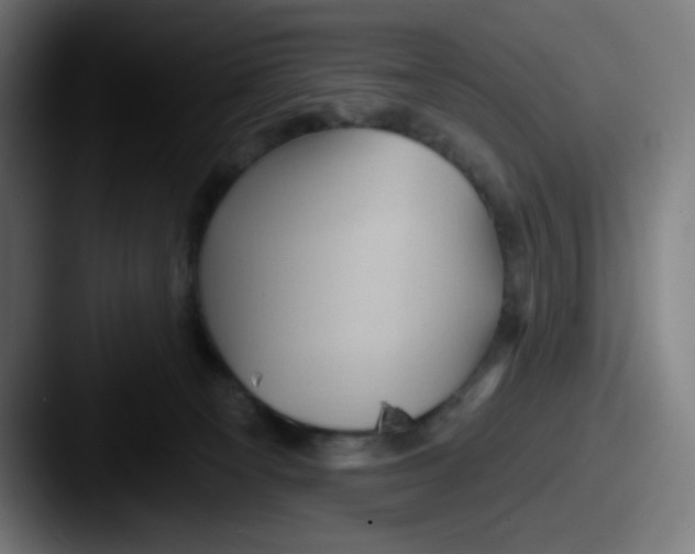 X0000087550129200705181113