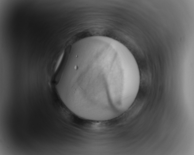 X0000087550130200705181113