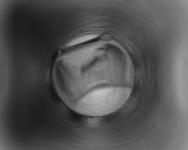 X0000087550134200705181113