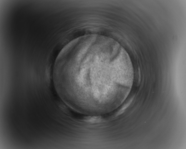 X0000087550135200705181113