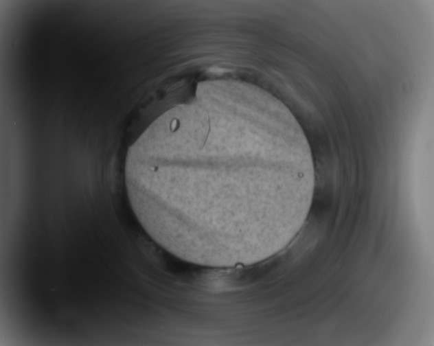 X0000087550136200705181113