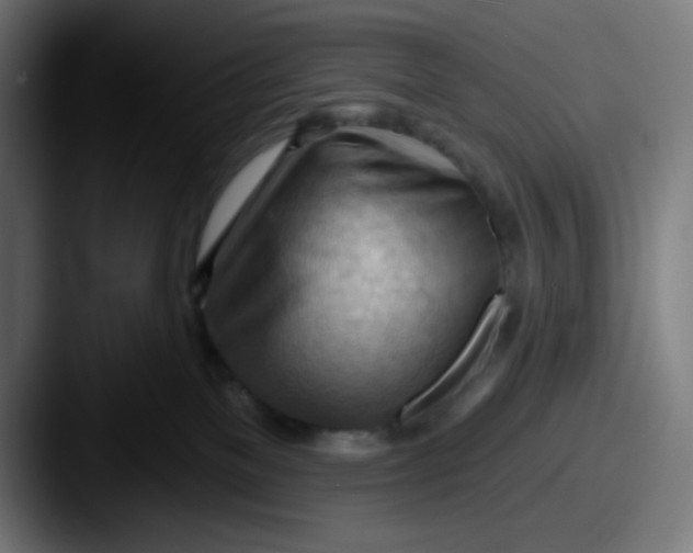 X0000087550137200705181113