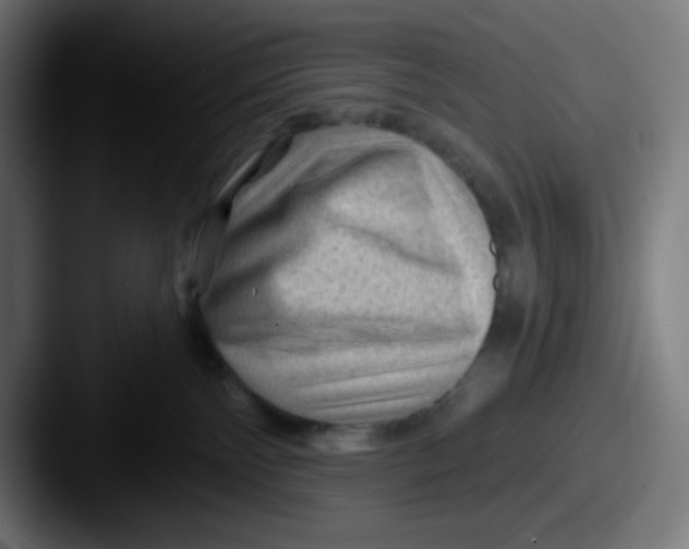 X0000087550138200705181113