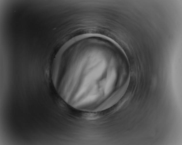 X0000087550139200705181113