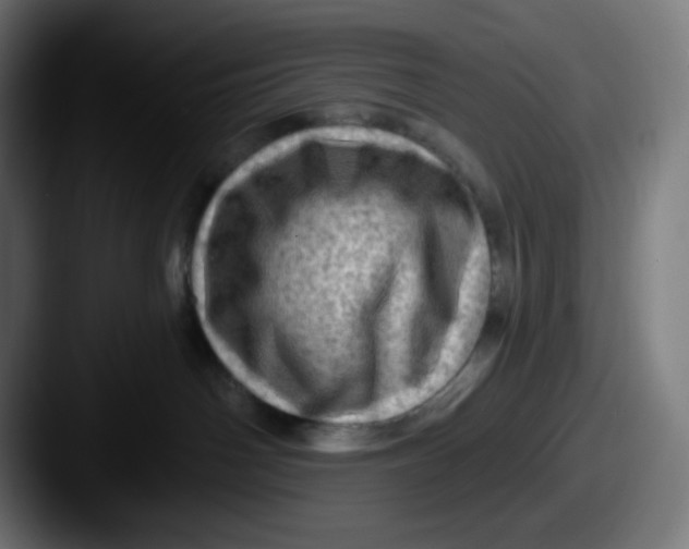 X0000087550142200705181113