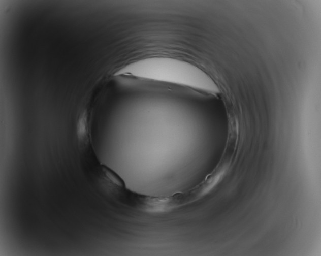 X0000087550143200705181113