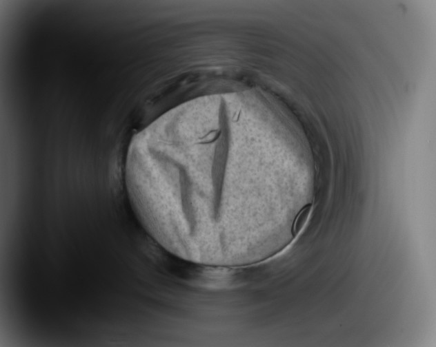 X0000087550144200705181113