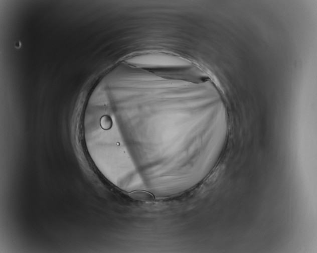 X0000087550145200705181112