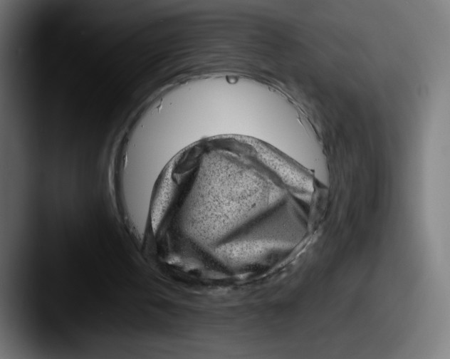 X0000087550146200705181112