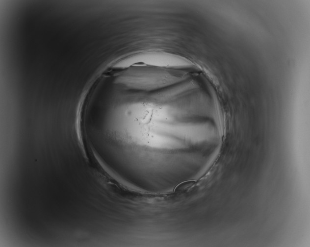 X0000087550147200705181112