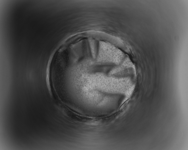 X0000087550148200705181112