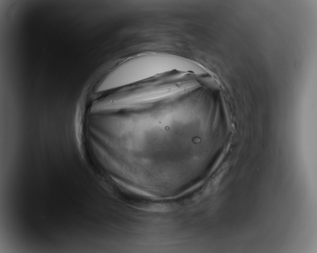 X0000087550149200705181112