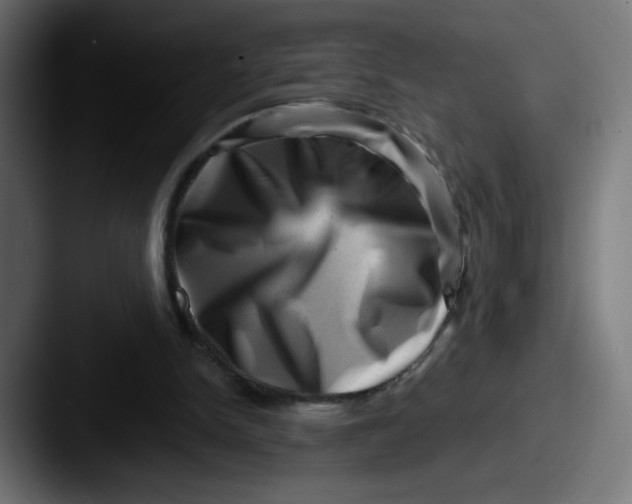 X0000087550150200705181113