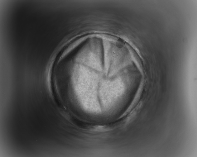 X0000087550151200705181113