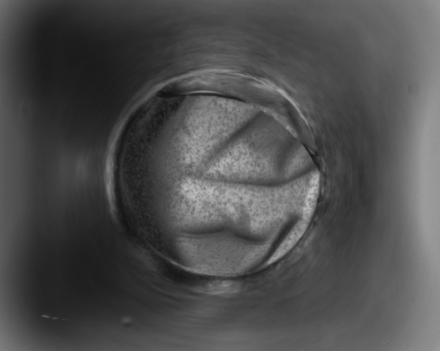 X0000087550152200705181113