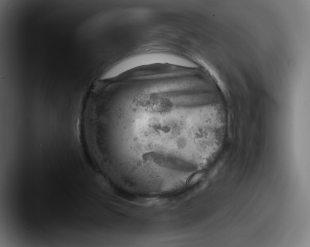 X0000087550153200705181113