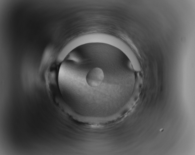 X0000087550154200705181113