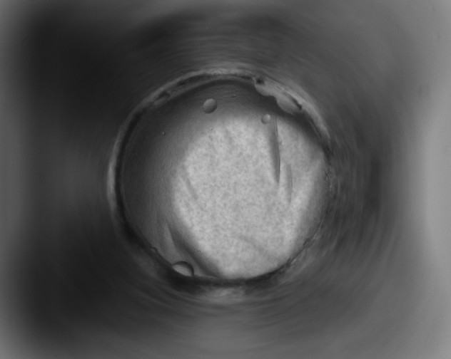 X0000087550155200705181113