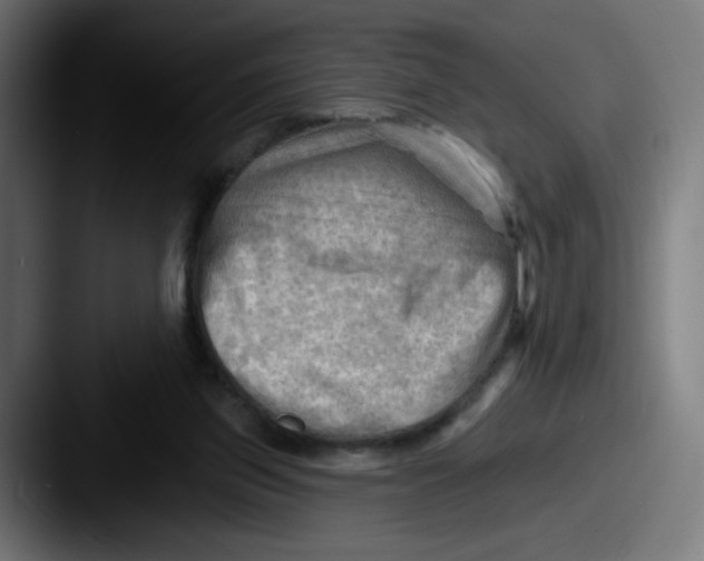 X0000087550157200705181113