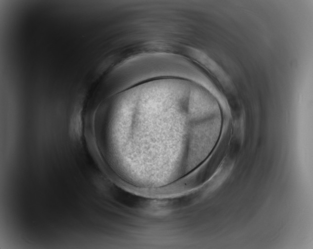 X0000087550158200705181113