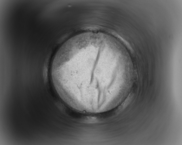 X0000087550159200705181113