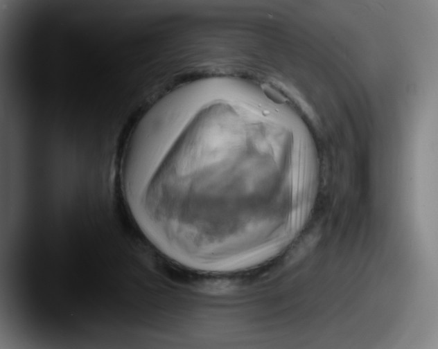 X0000087550161200705181113